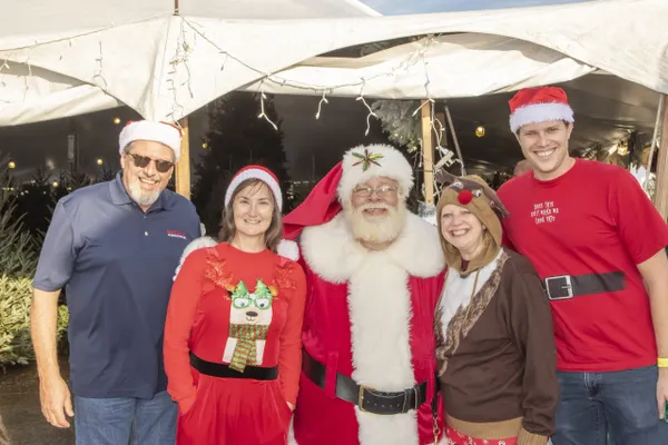 Fresh-cut christmas trees