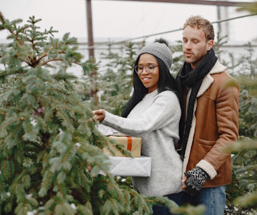 fresh cut christmas trees in Orlando