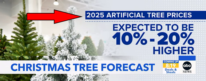 Affordable christmas tree prices