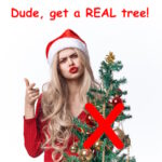 Get a real christmas tree